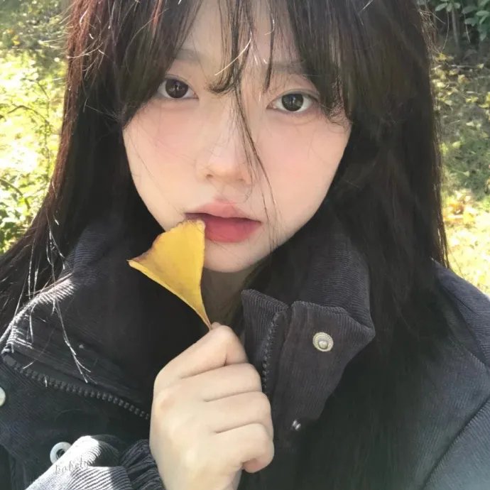 综艺热选